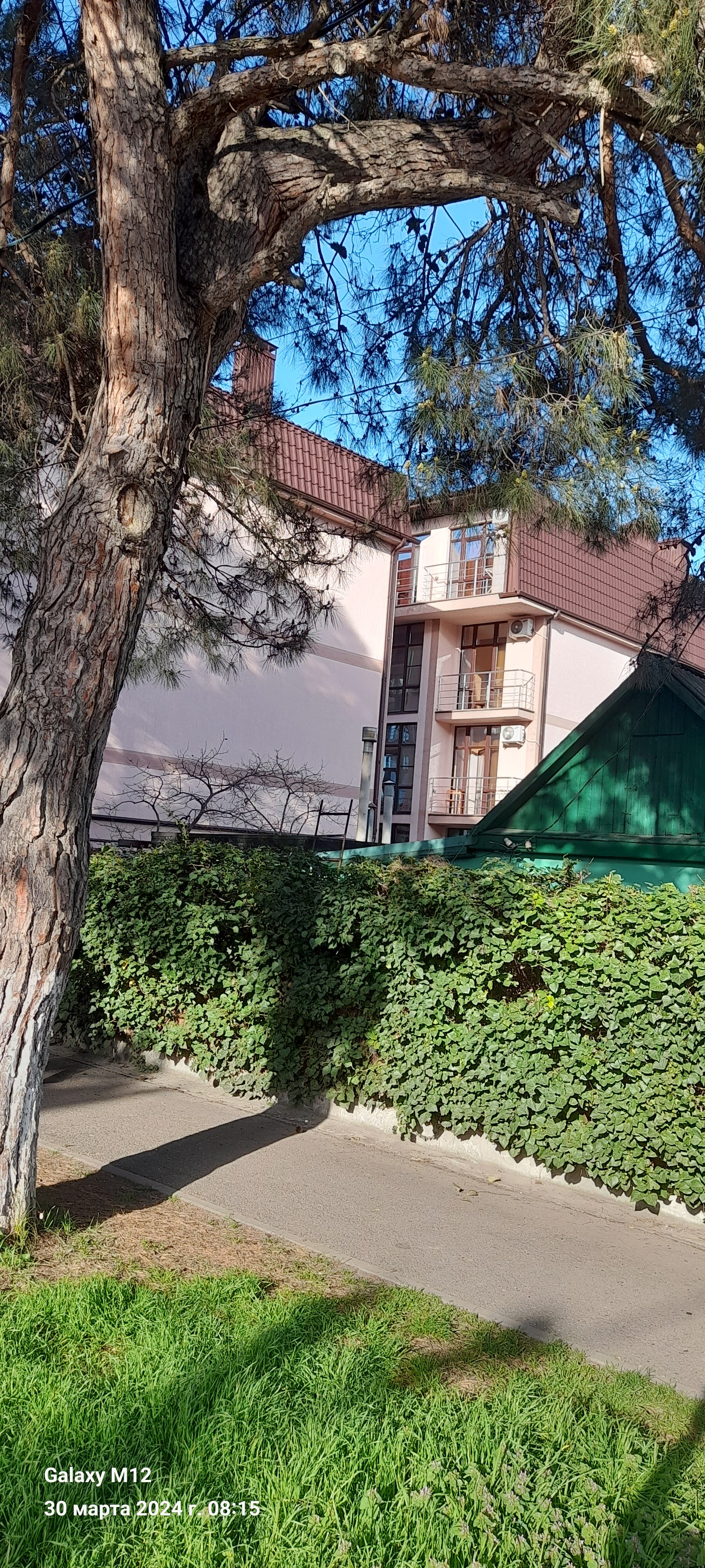 Фото Варвара