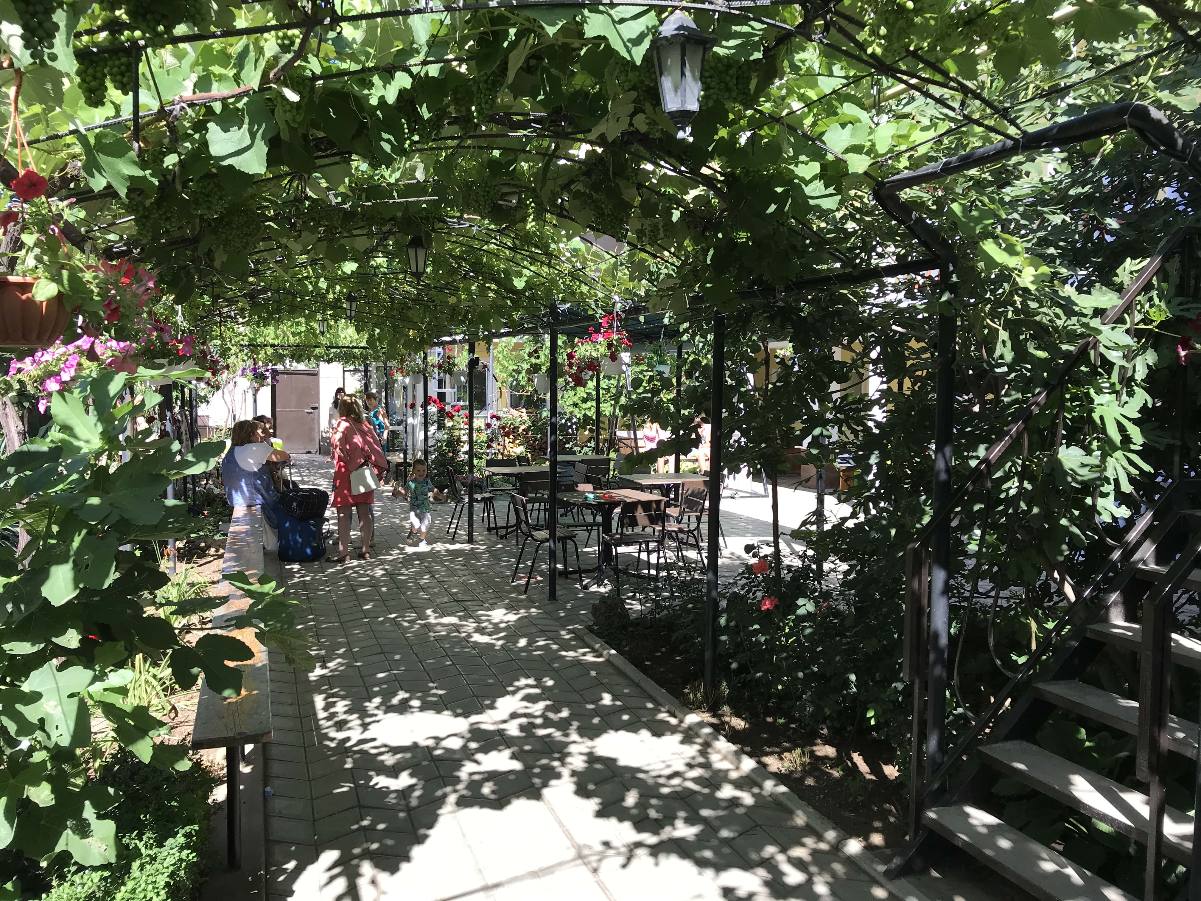 Фото У Чижика