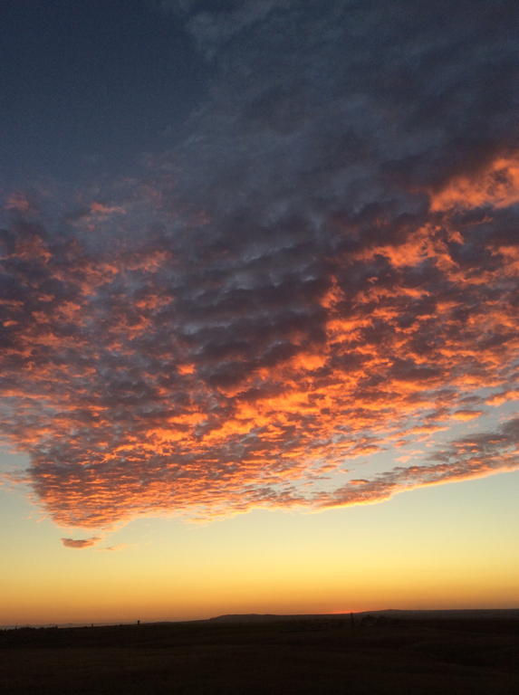 Фото Фридом