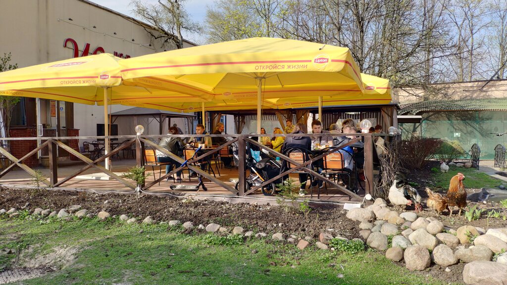 Кафе гусенок