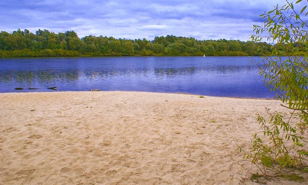 Фото Окский берег