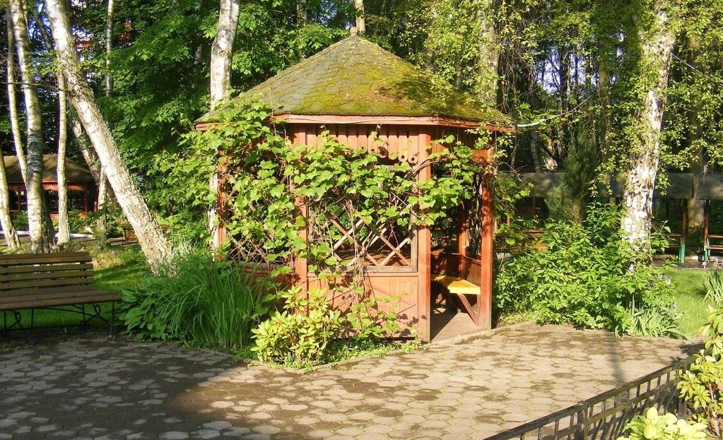 Фото Azimut Здоровье Янтарь