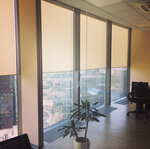 Vertelux (Mira Avenue, 101Вс1), blinds and roller blinds