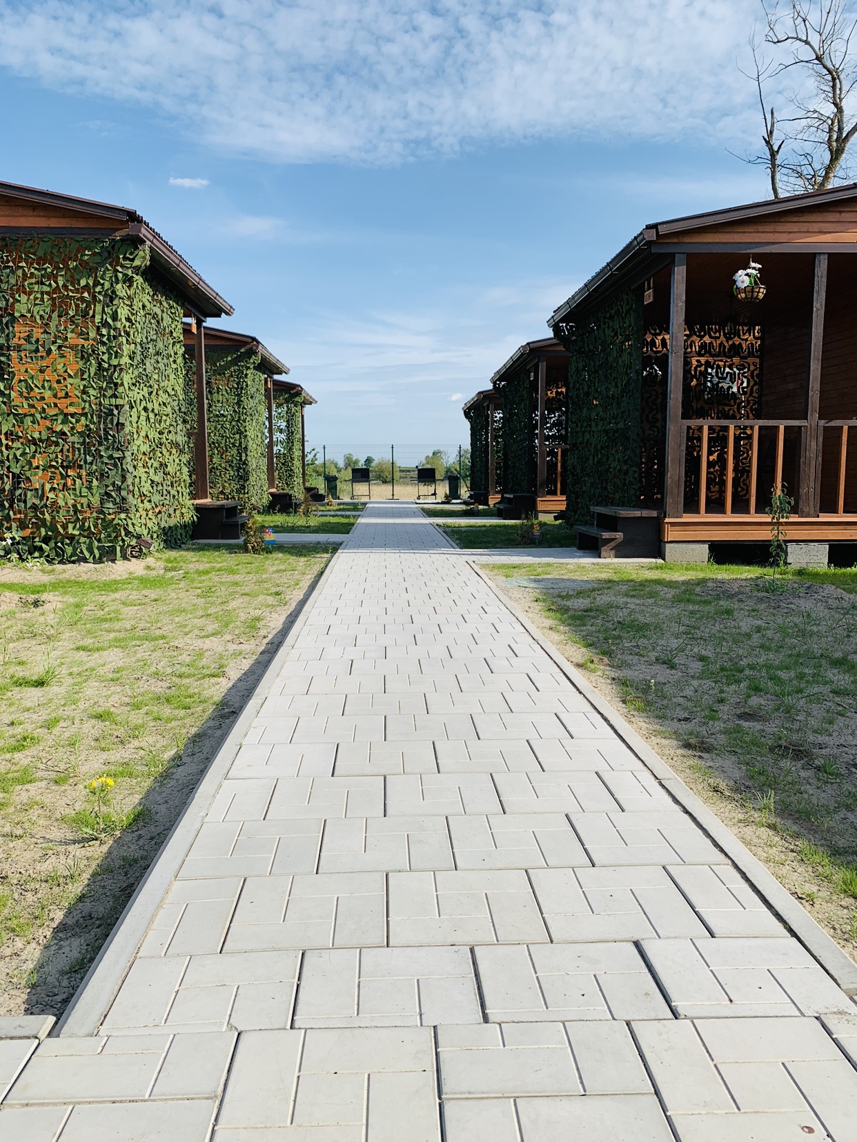 Фото Ковчег