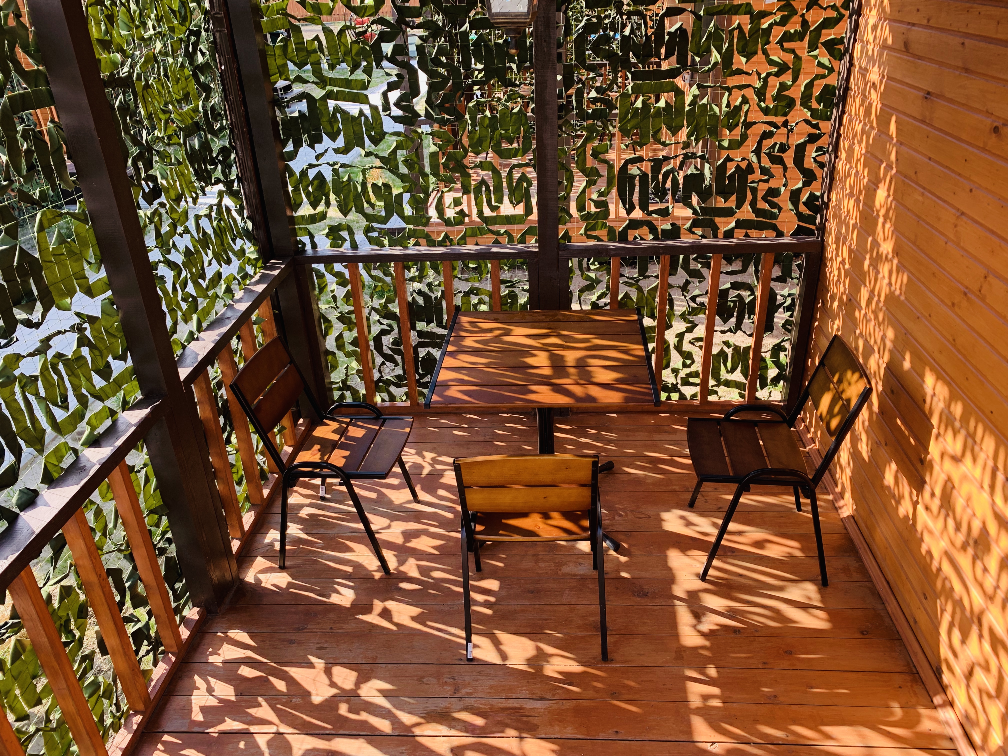 Фото Ковчег