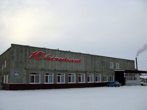 Юбилейный (Arbuzova Street, 62), cinema