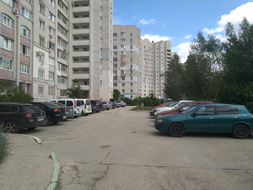 Parking lot Alyona, Bryansk Oblast, photo