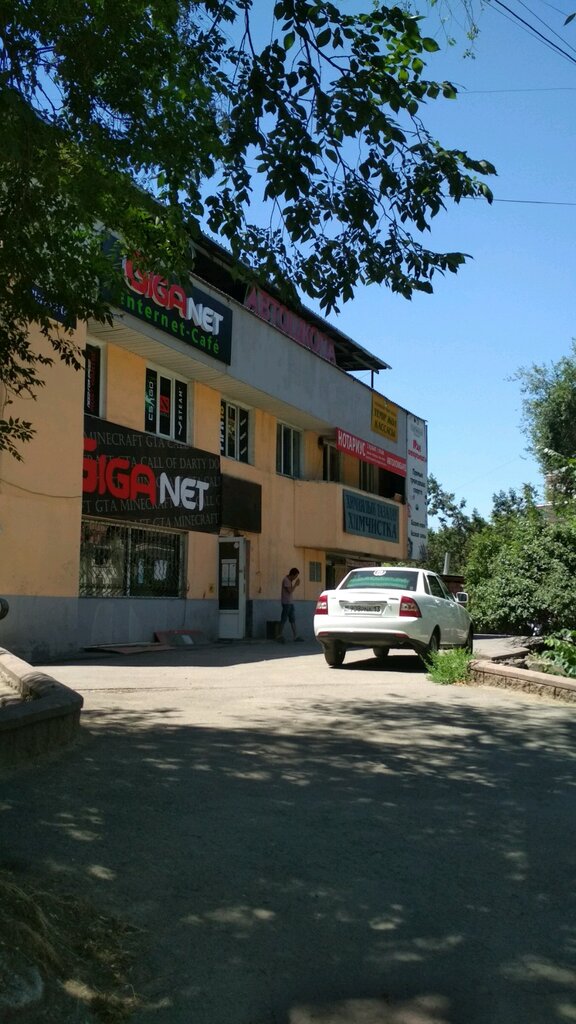 Амур авто алматы