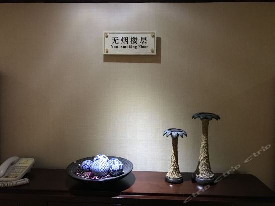 Фото Conifer Garden Hotel