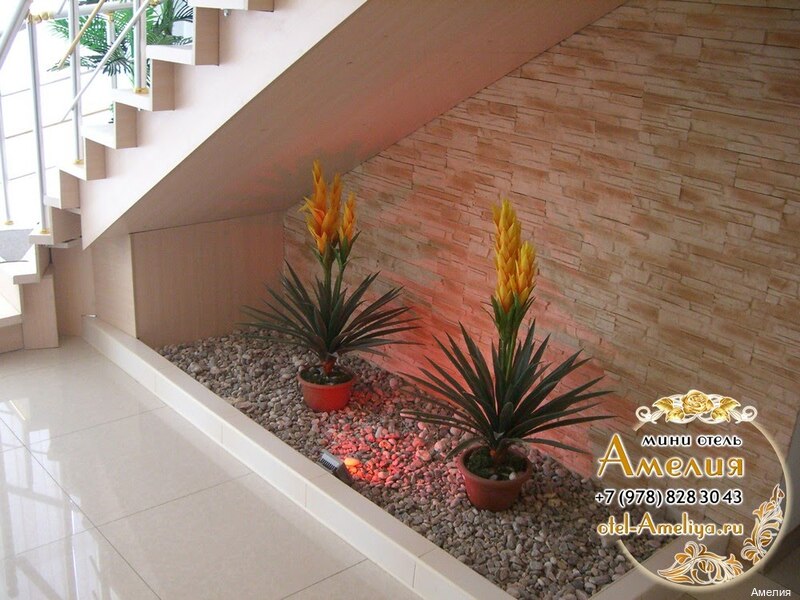 Фото Амелия