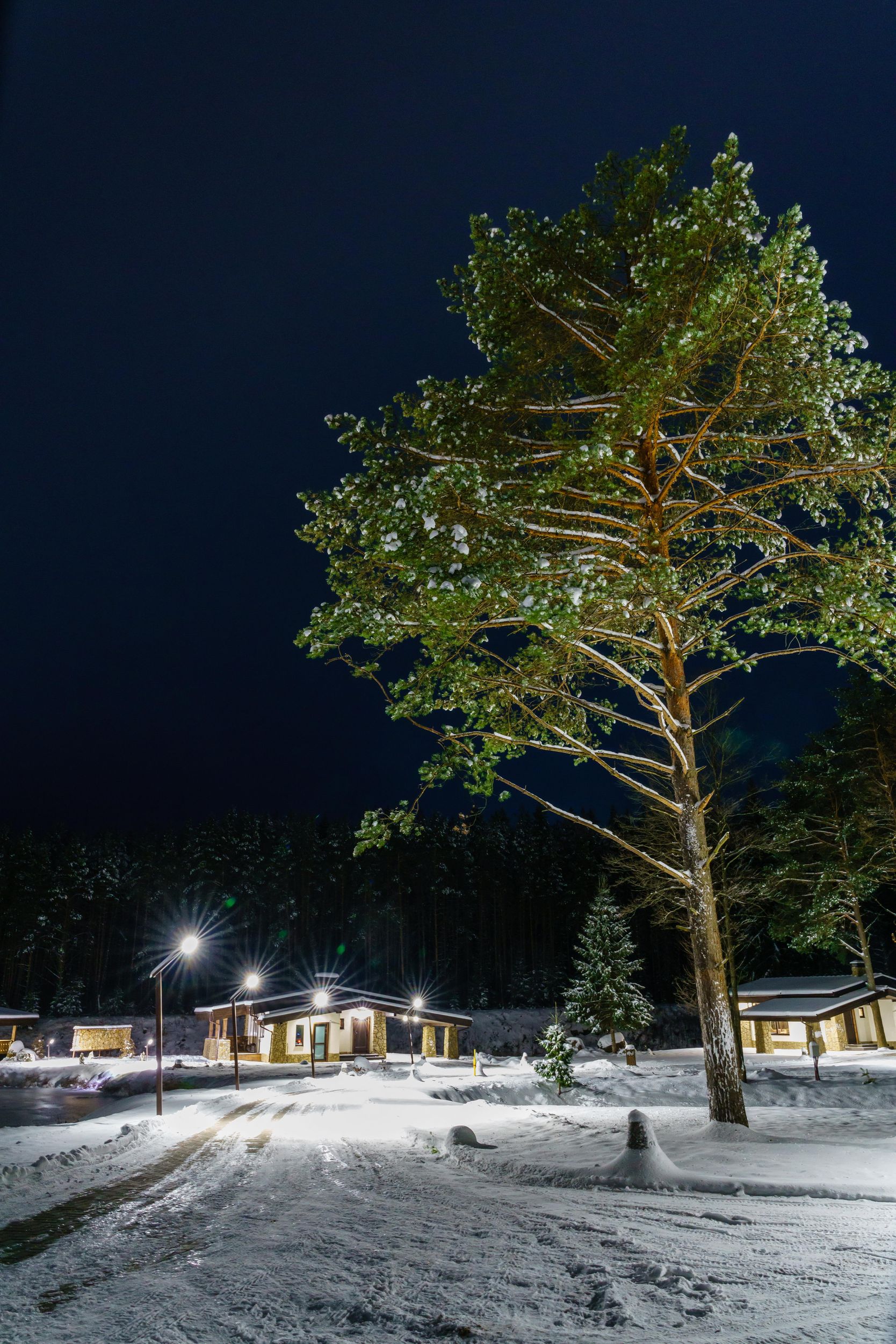 Фото ГлинтВуд