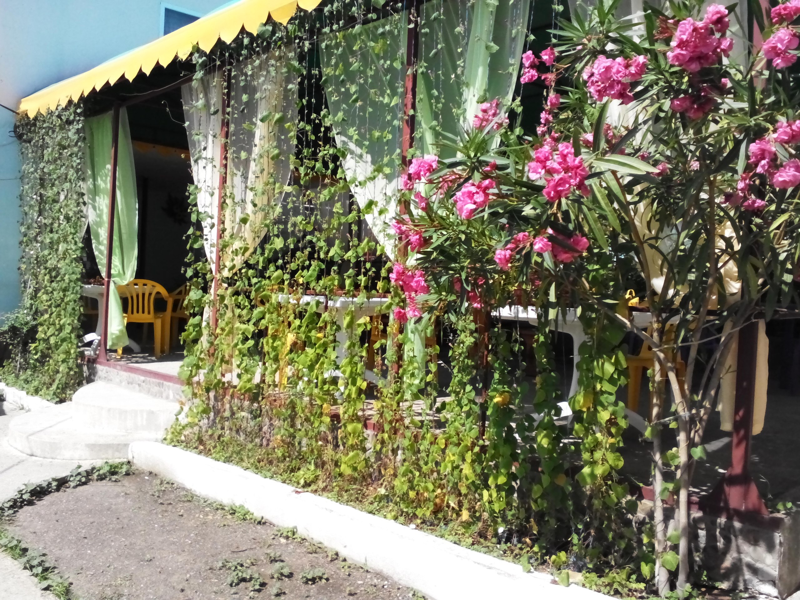 Фото Семейный