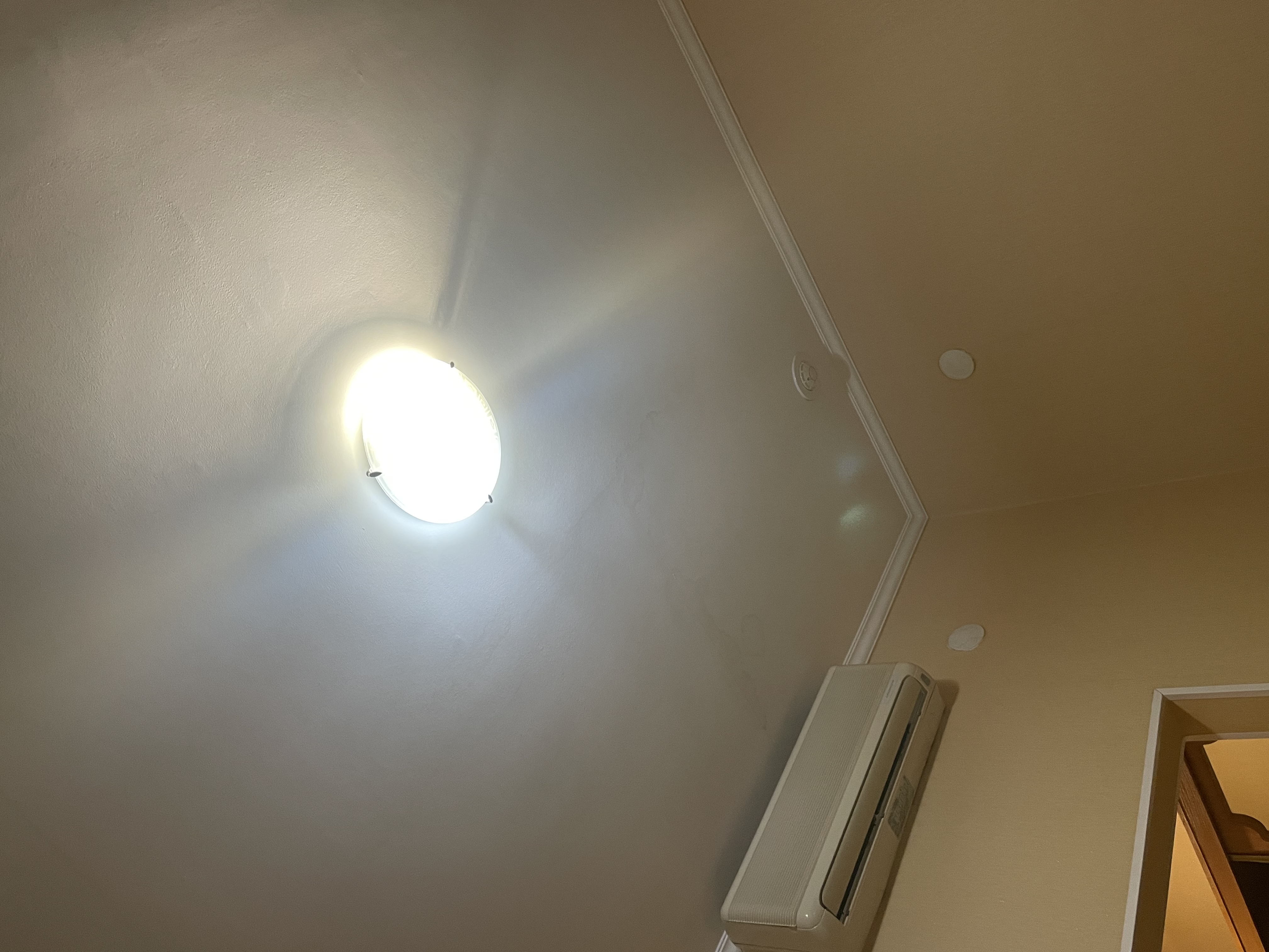 Фото Ариада