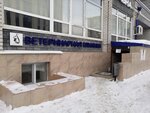 Ветеринарная клиника ВетБлюз (Adoratskogo Street, 3), veterinary clinic