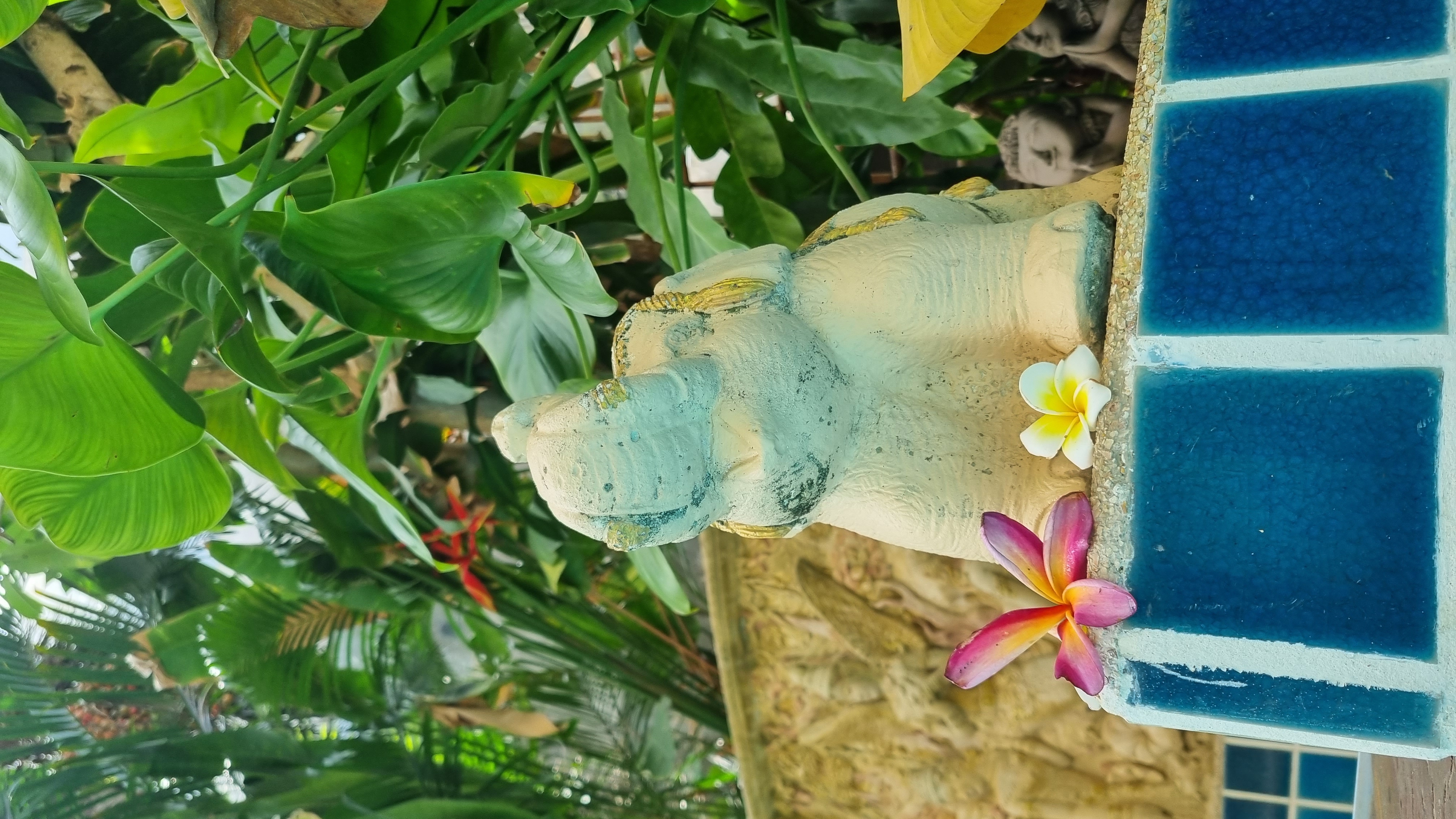 Фото Seven Seas Hotel