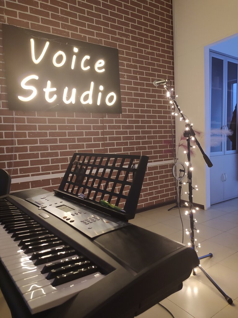 Music school Voice-studio, Moscow, photo