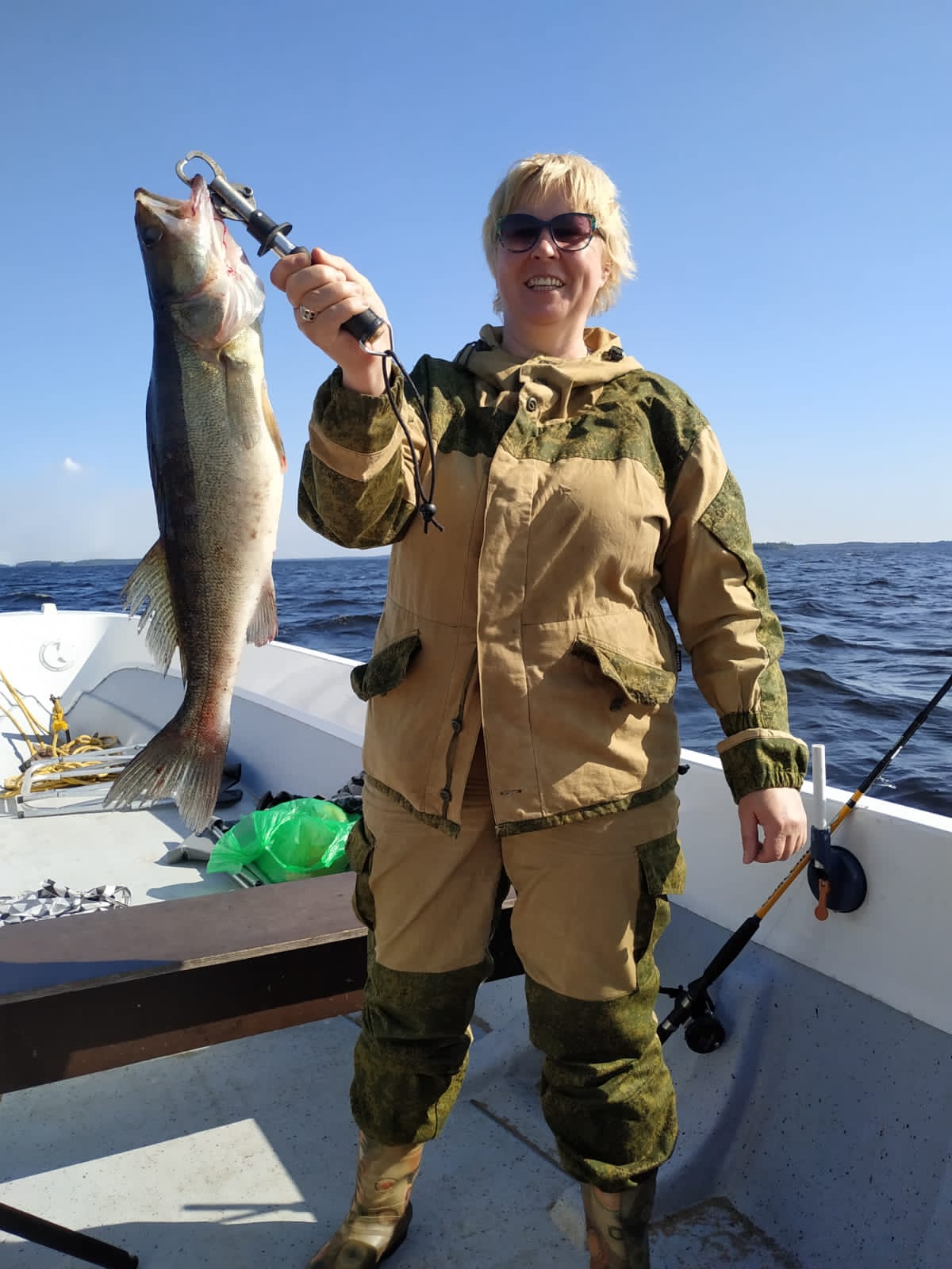 Фото Курмойла