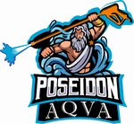 Poseidon-aqva (Bodraya Street, 41А), cleaning services