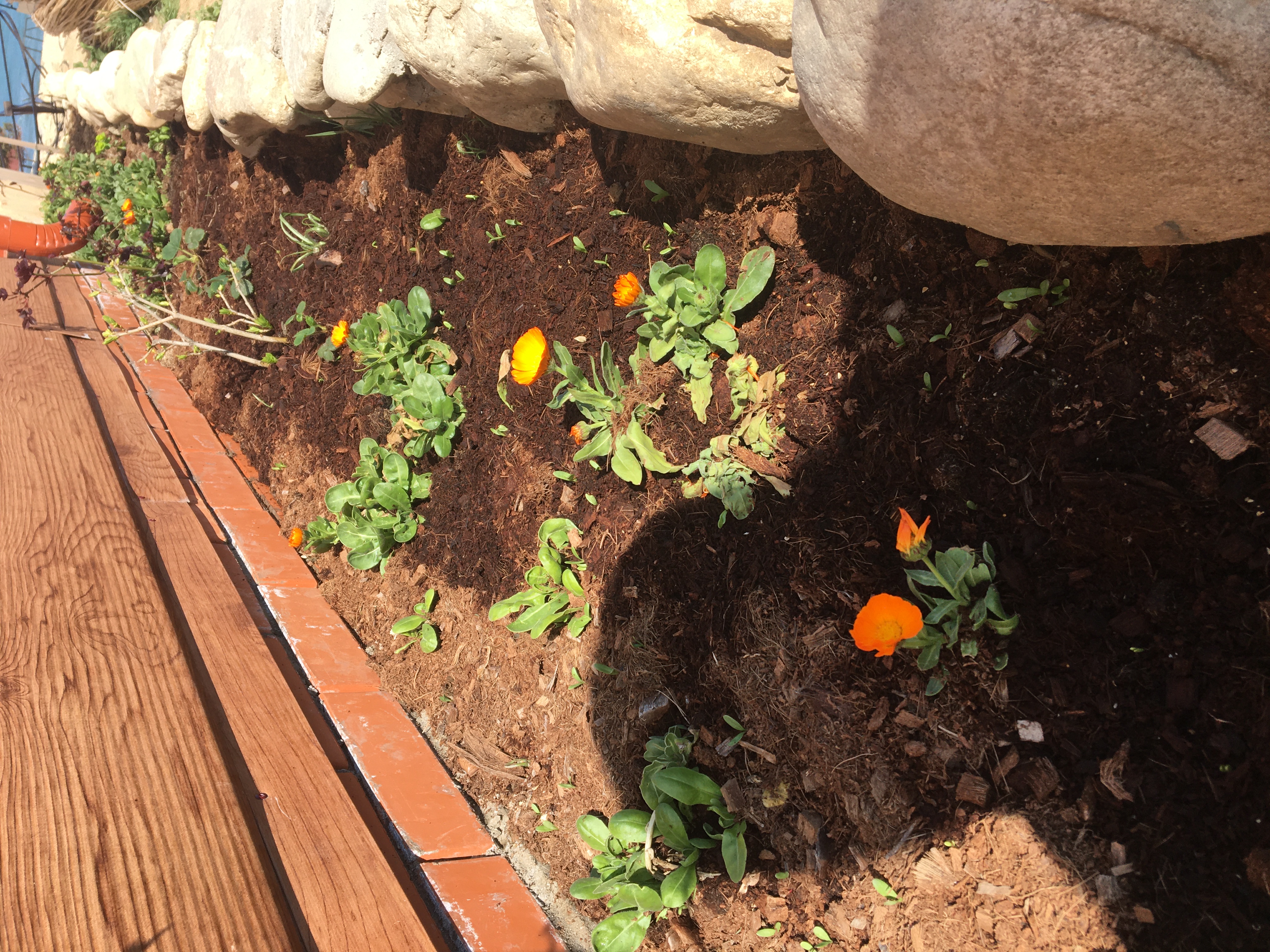 Фото Золотые пески