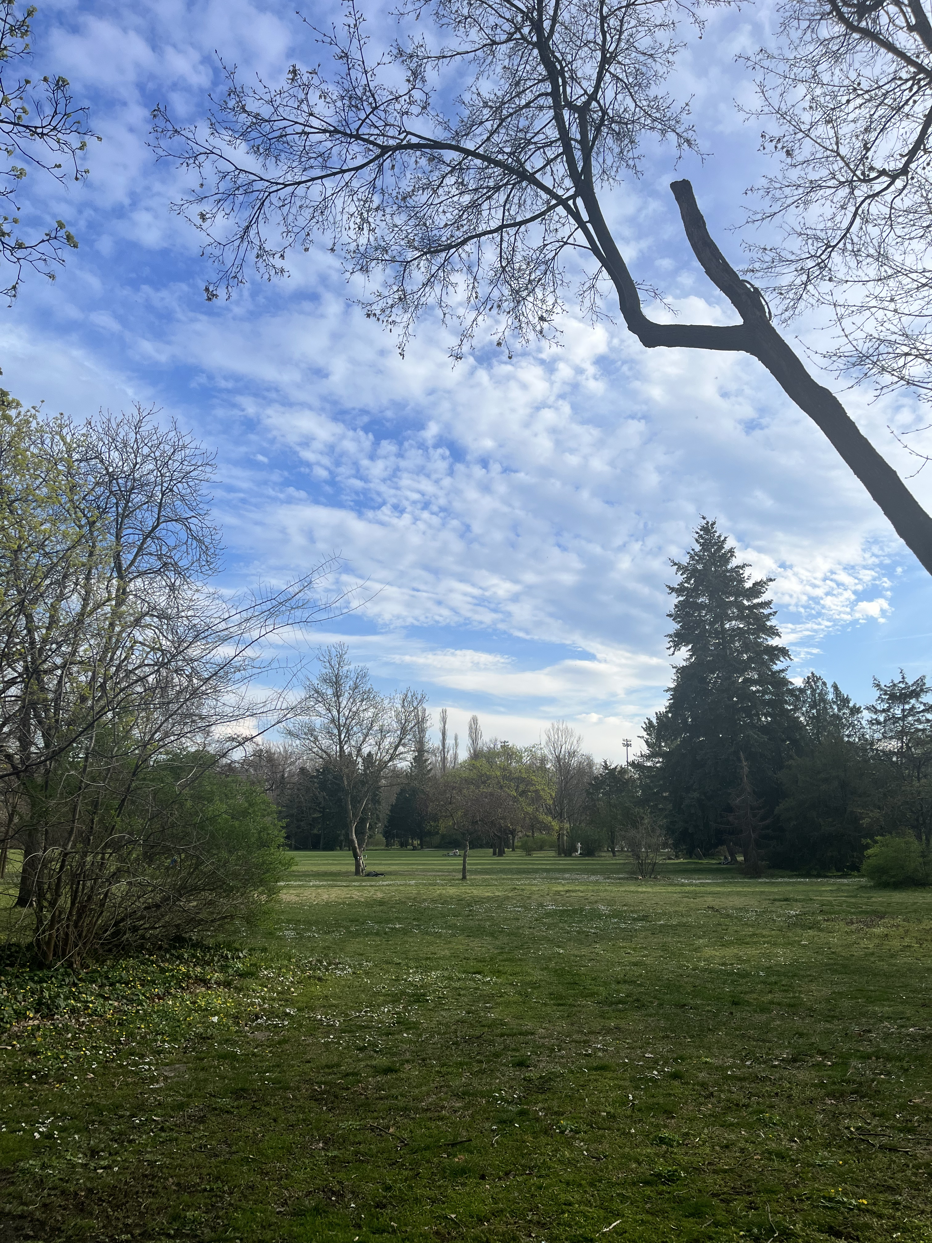 Фото Thermal Margaret Island