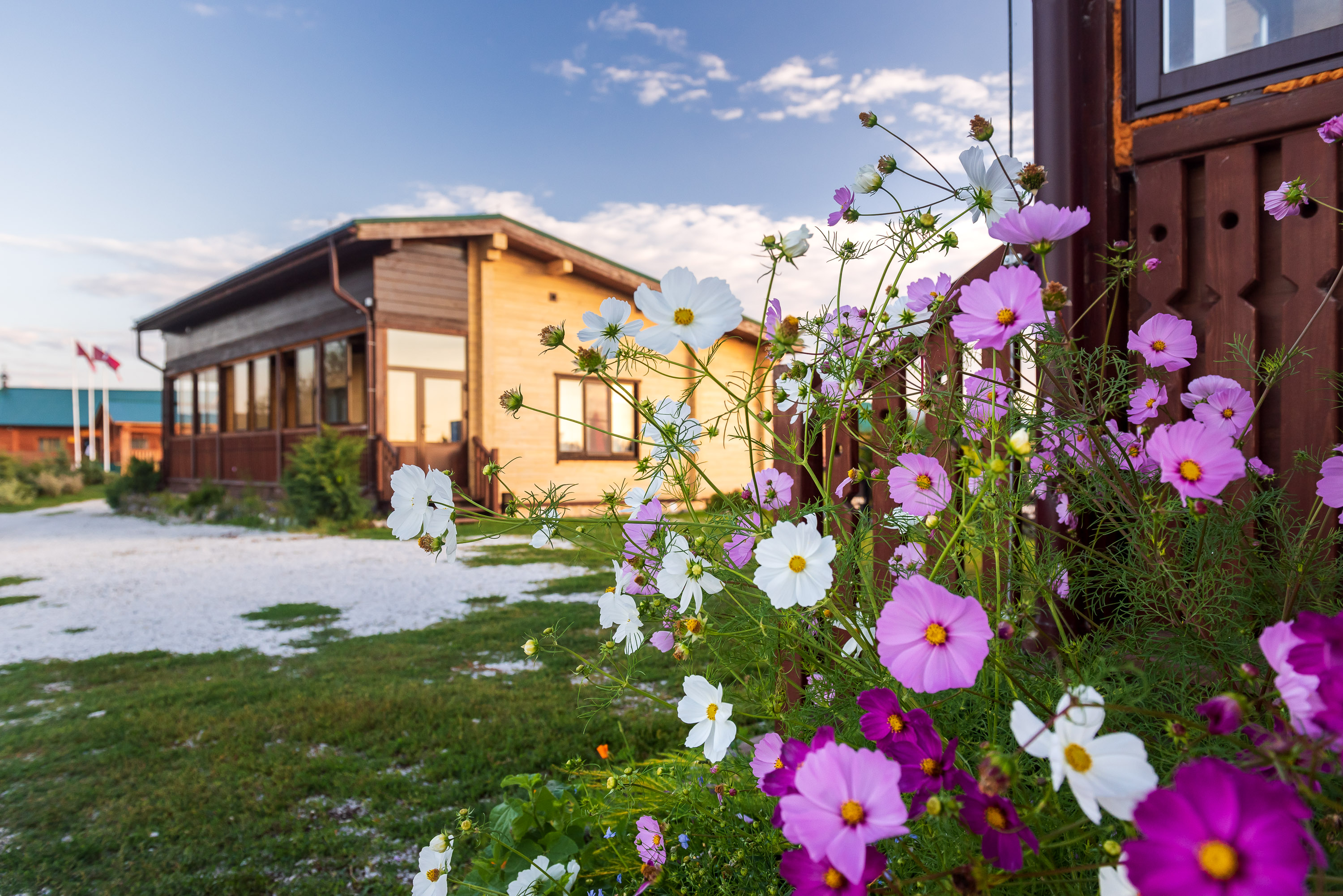 Фото Золото Алтая