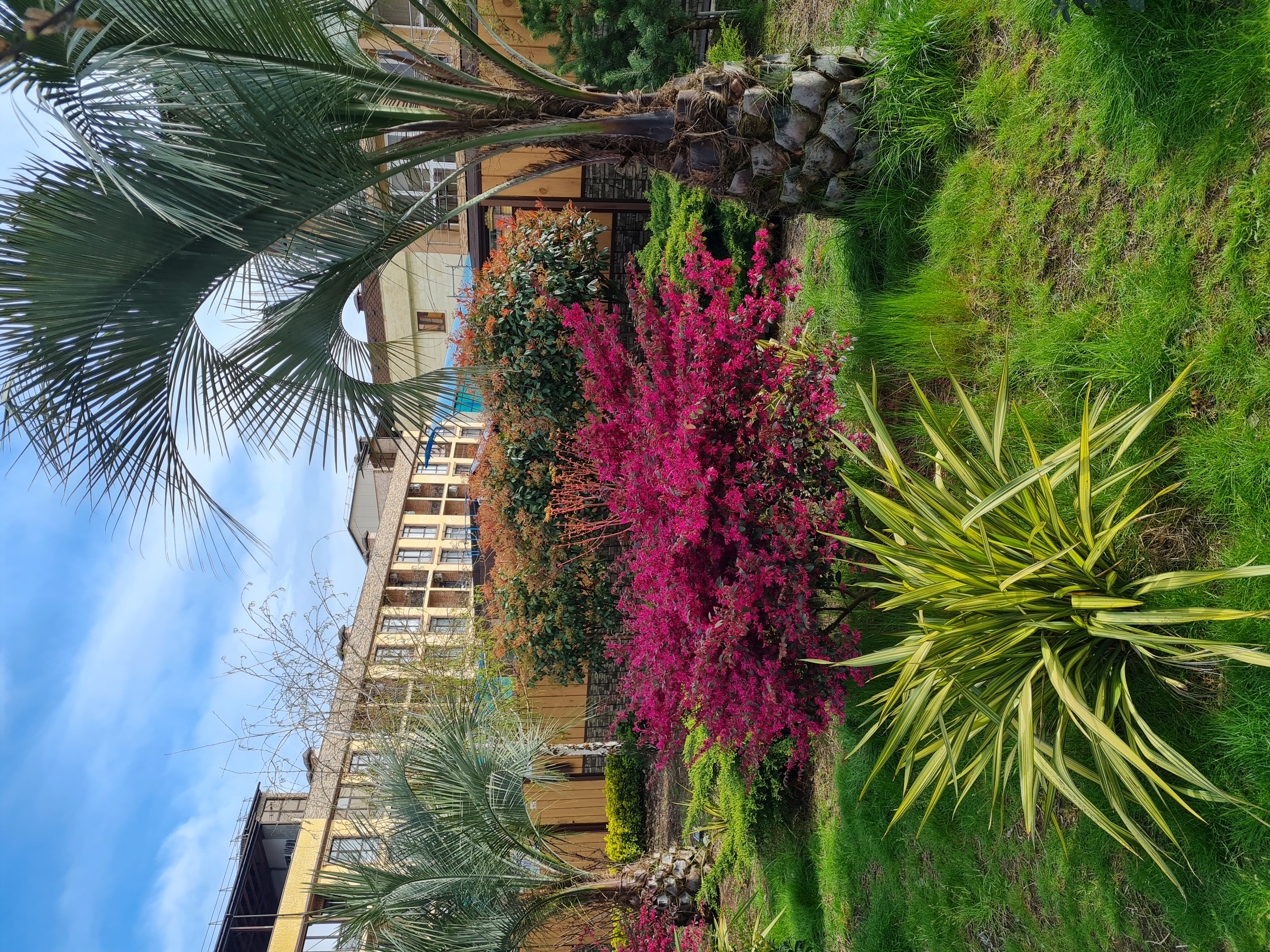 Фото Адмирал