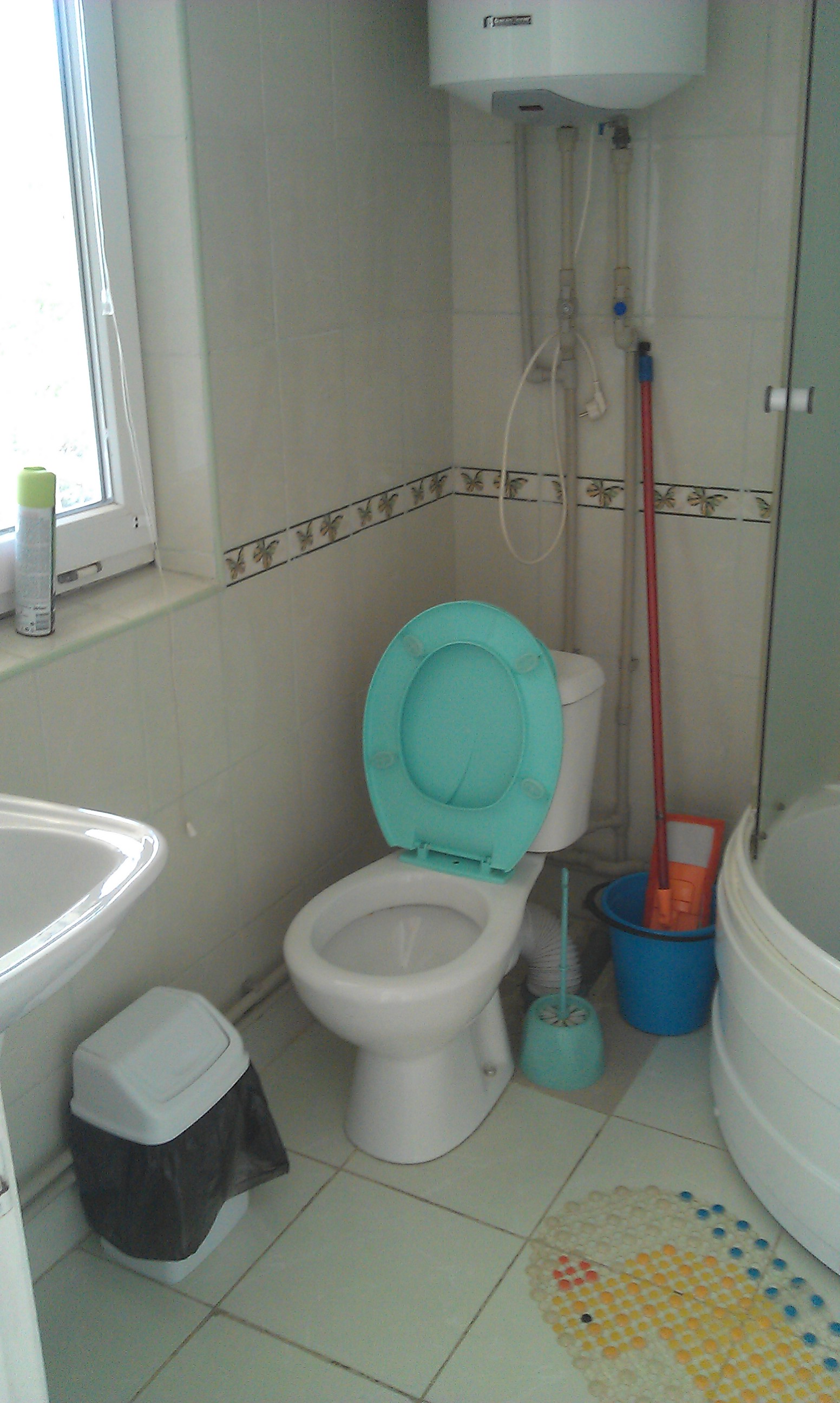 Фото Белая Чайка