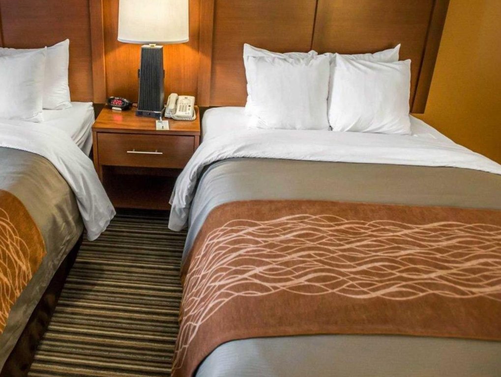 Фото Comfort Inn at the Park