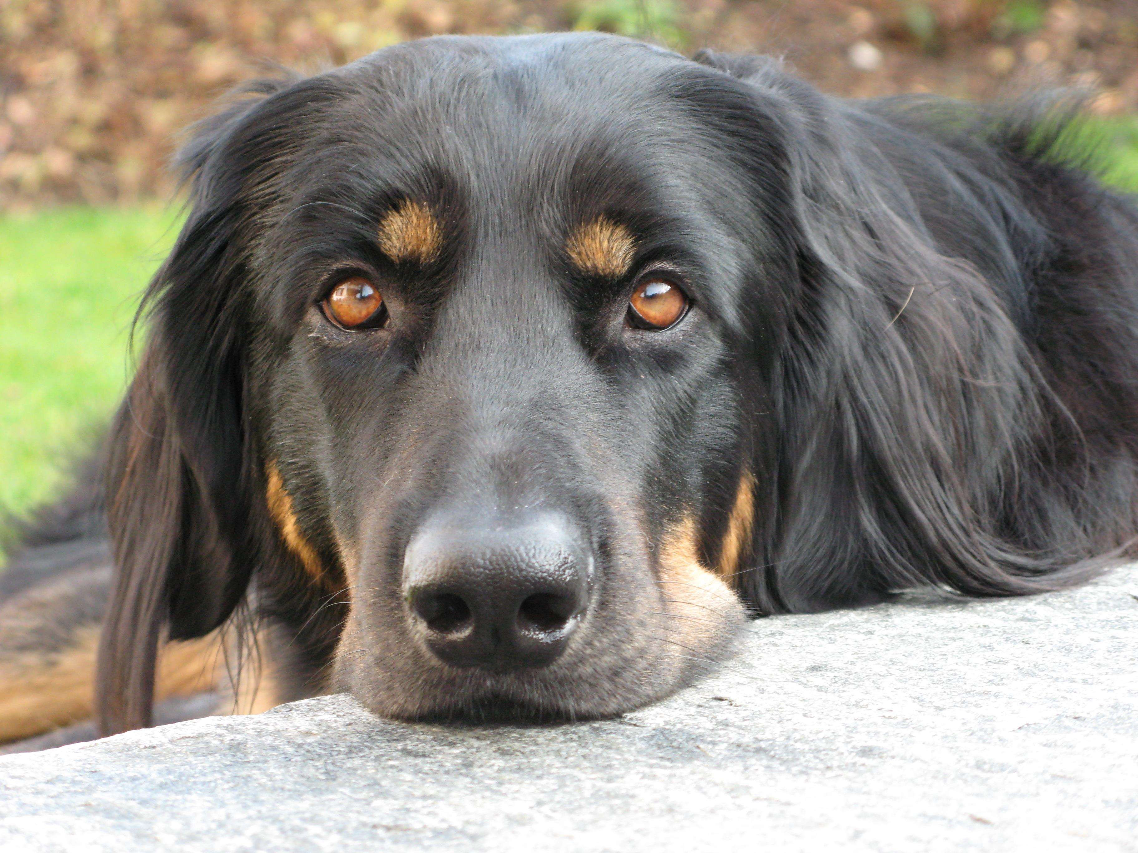 Фото Best Western Hotel Bremen City