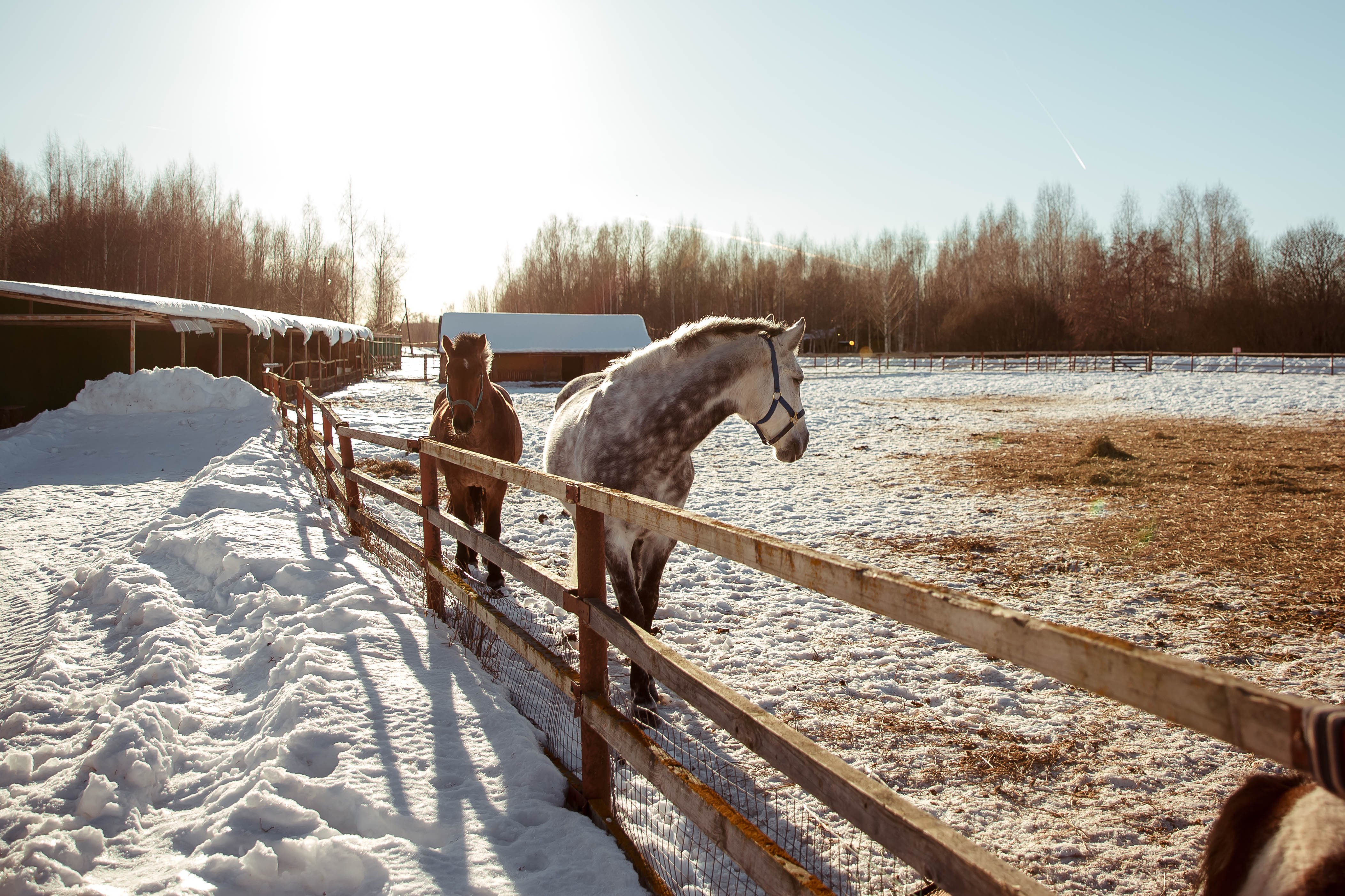 Фото Колкуново
