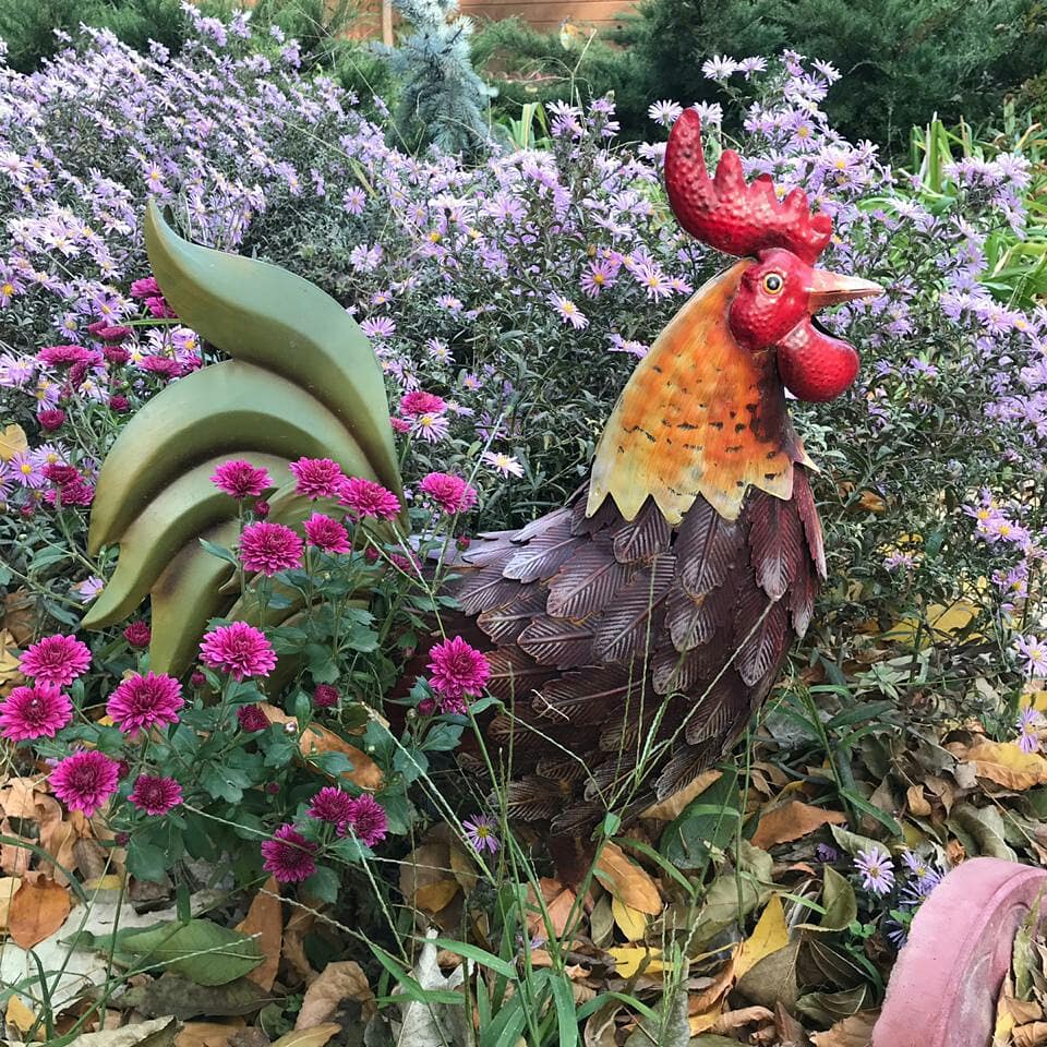 Фото Дом в дельте