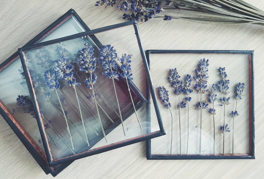 Картины из сухоцветов своими руками под стеклом