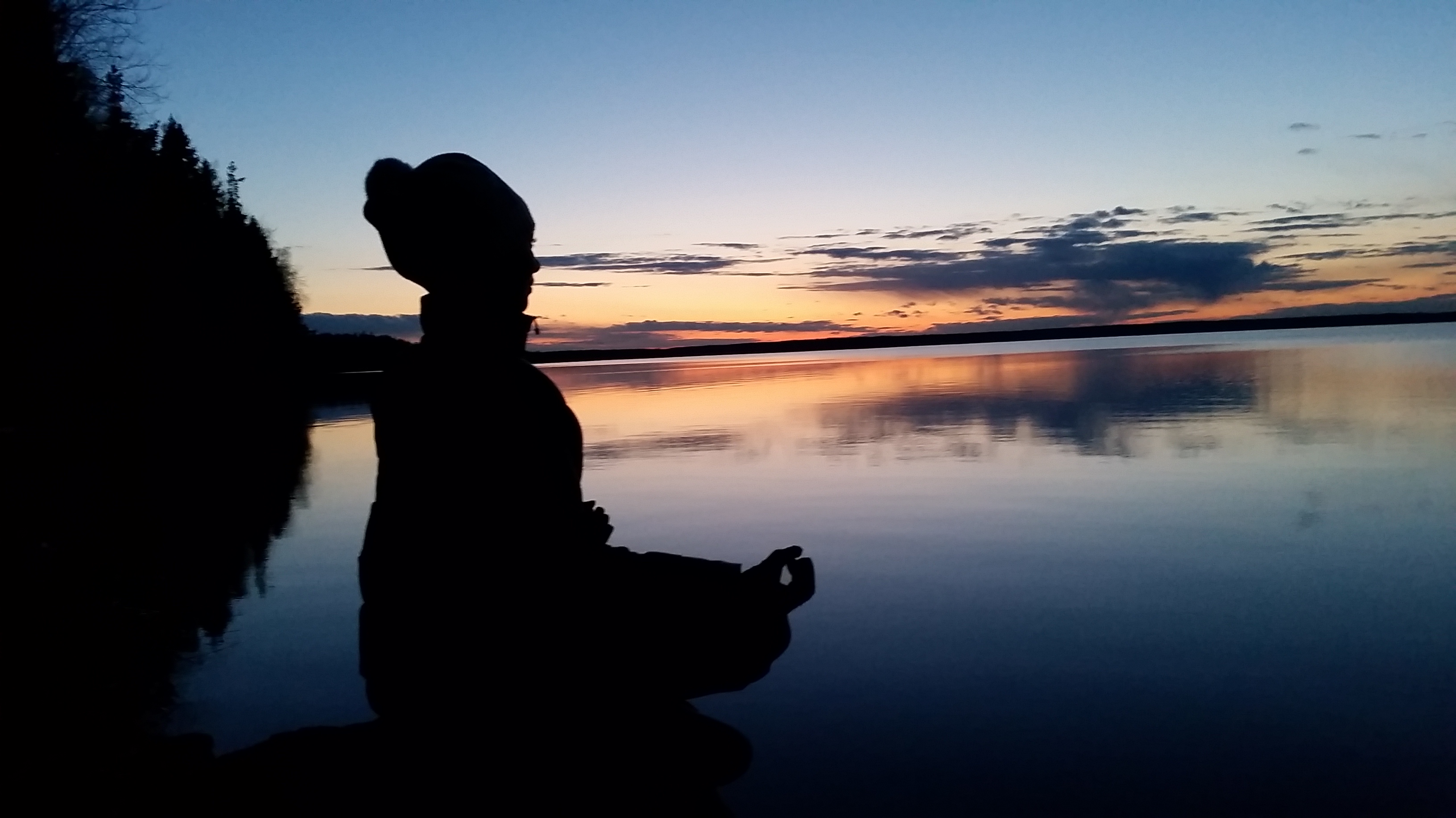 Фото Черная лиса