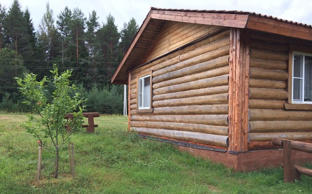 Фото Боровое