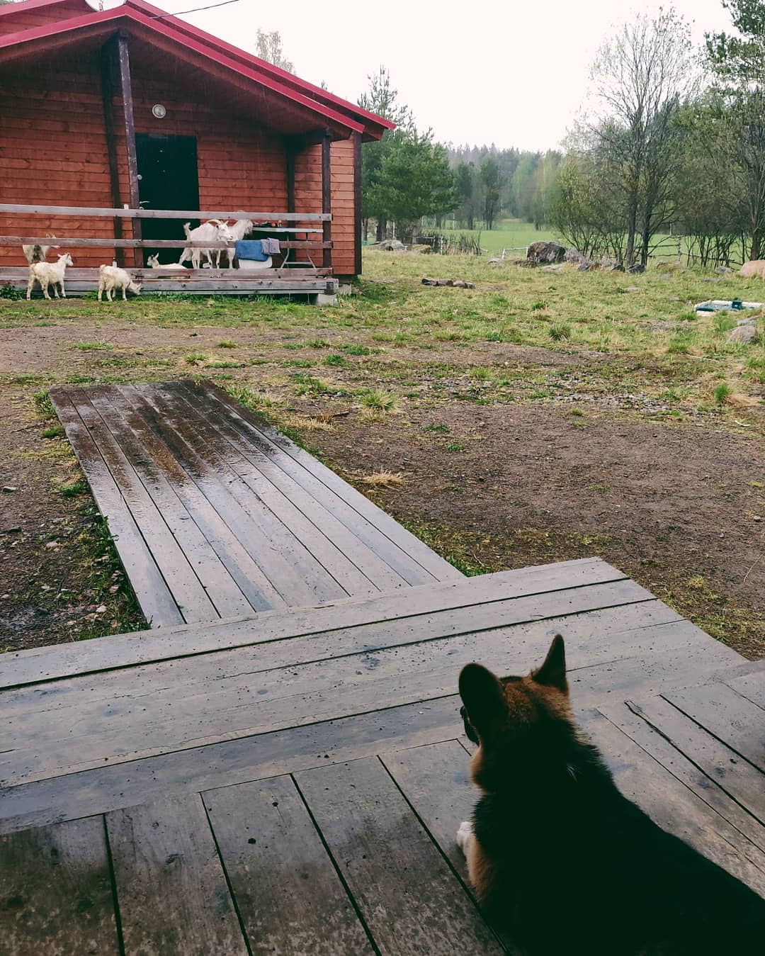 Фото Эко-хутор Ряйсяля