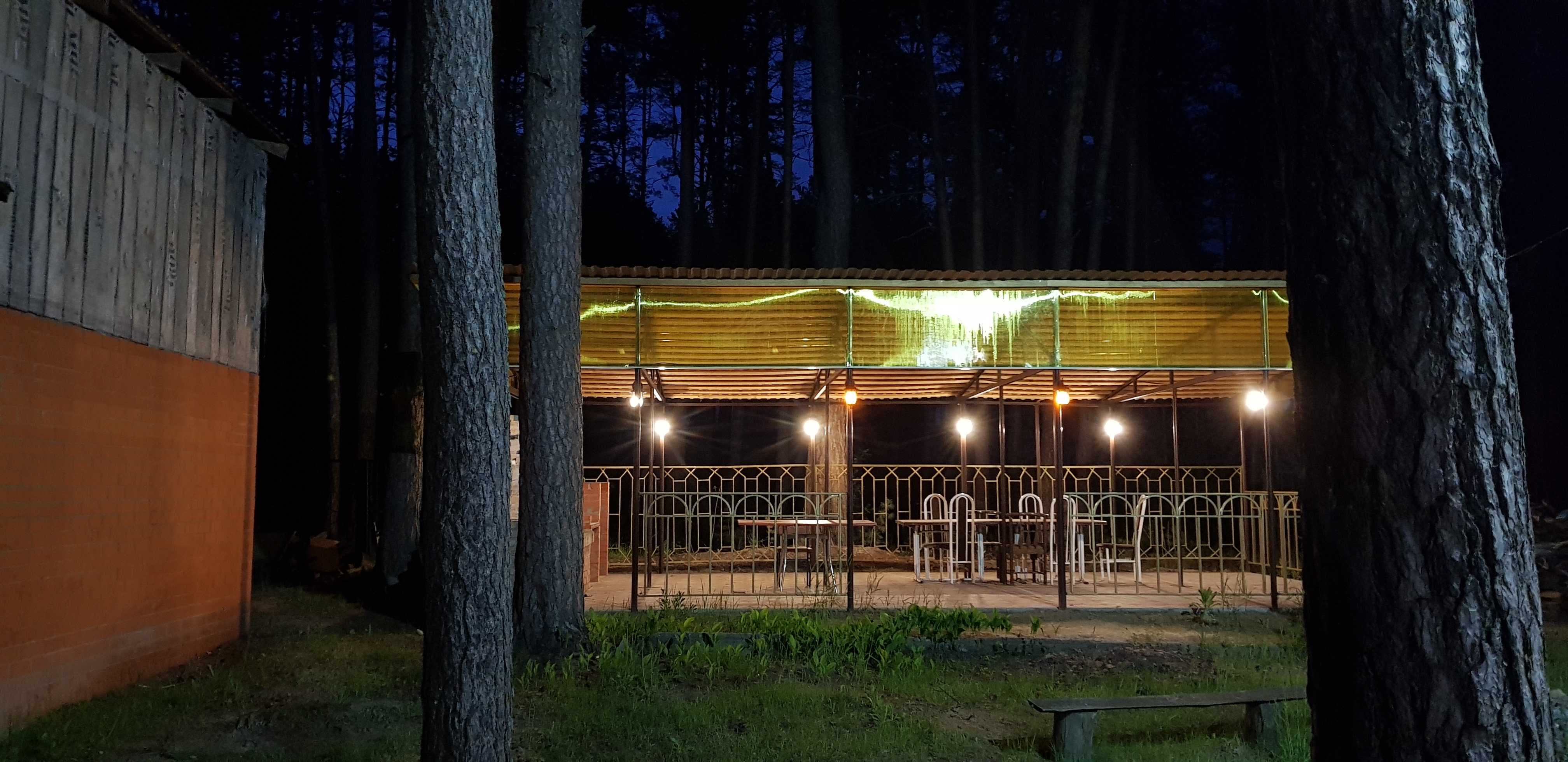 Фото Янтарная