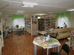 Поломошинская библиотека-филиал № 1 (selo Polomoshnoye, Tsentralny pereulok, 16), library