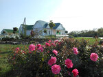 Фощеватовский Сельский Дом Культуры (selo Foshchevatovo, Tsentralnaya ulitsa, 21), casa de la cultura