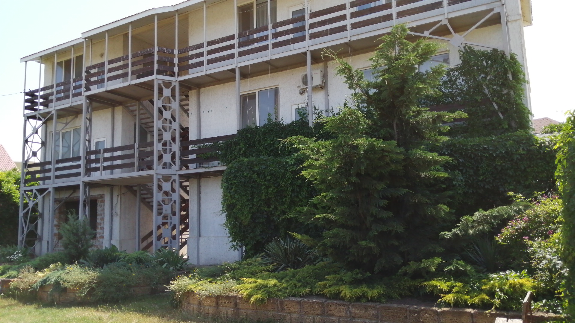 Фото Жемчужина