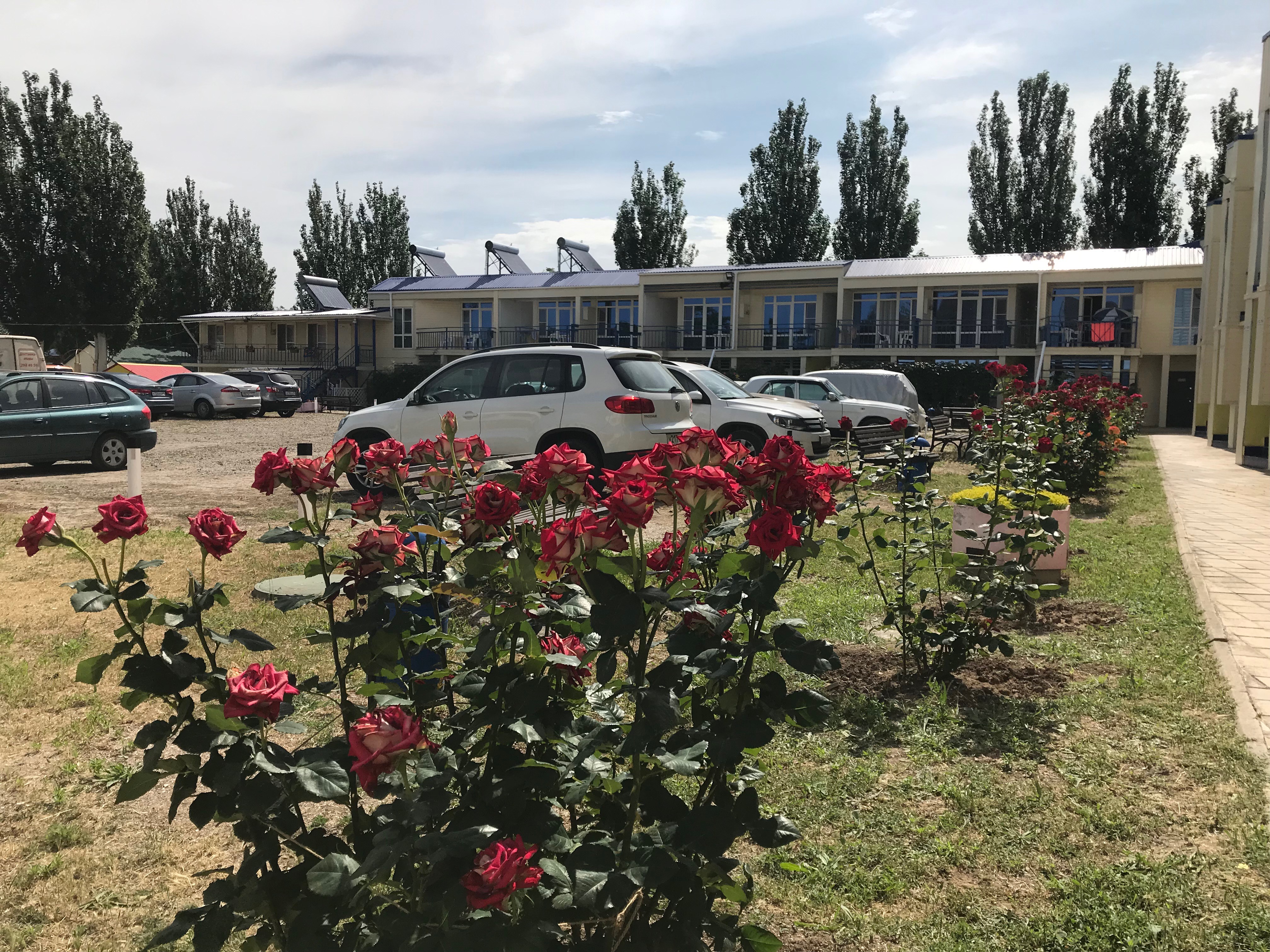 Фото Песчаная коса