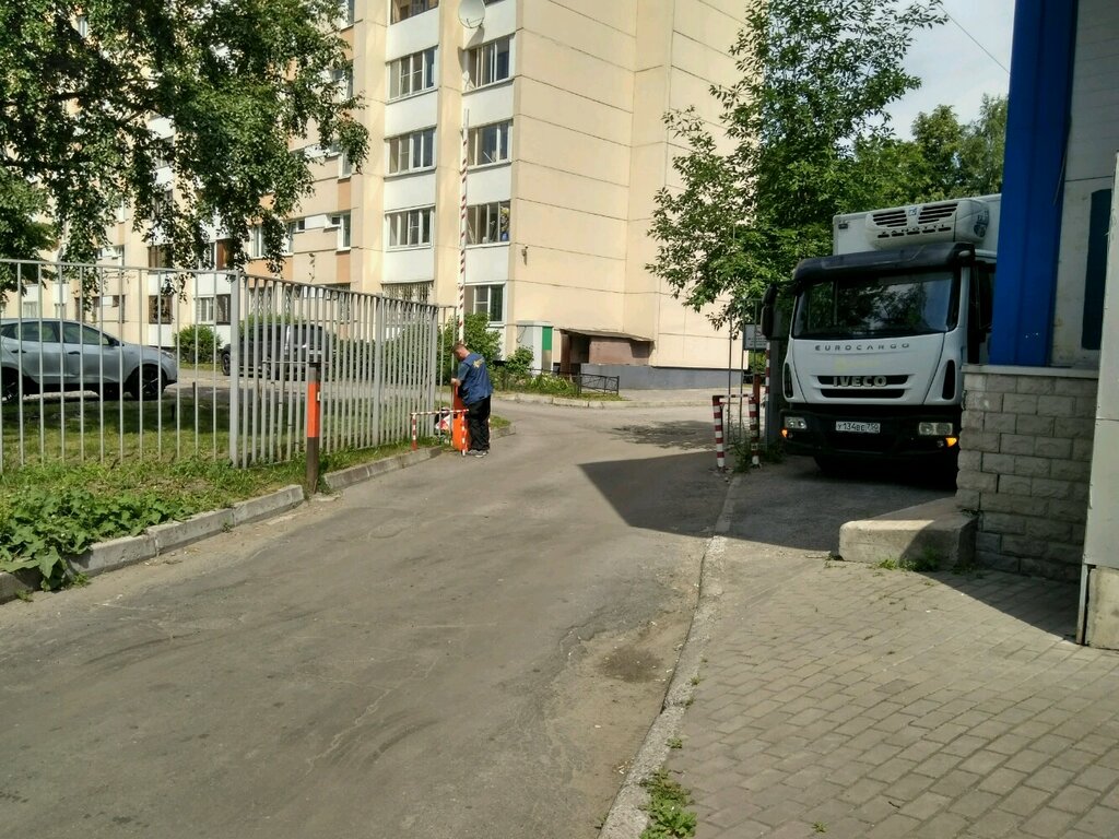 Замшина санкт петербург