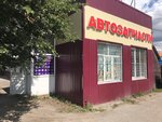 Bm Auto (Sovetskaya Street, 155/1), auto parts and auto goods store