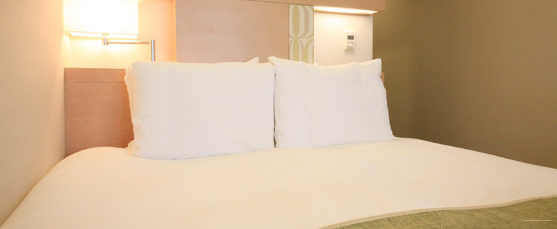 Фото Richmond Hotel Premier Musashikosugi