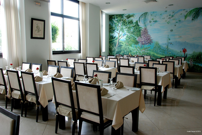Фото Hotel Cesar & SPA