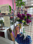FlowerScarlet (Mira Avenue, 95/25) ، محل زهور