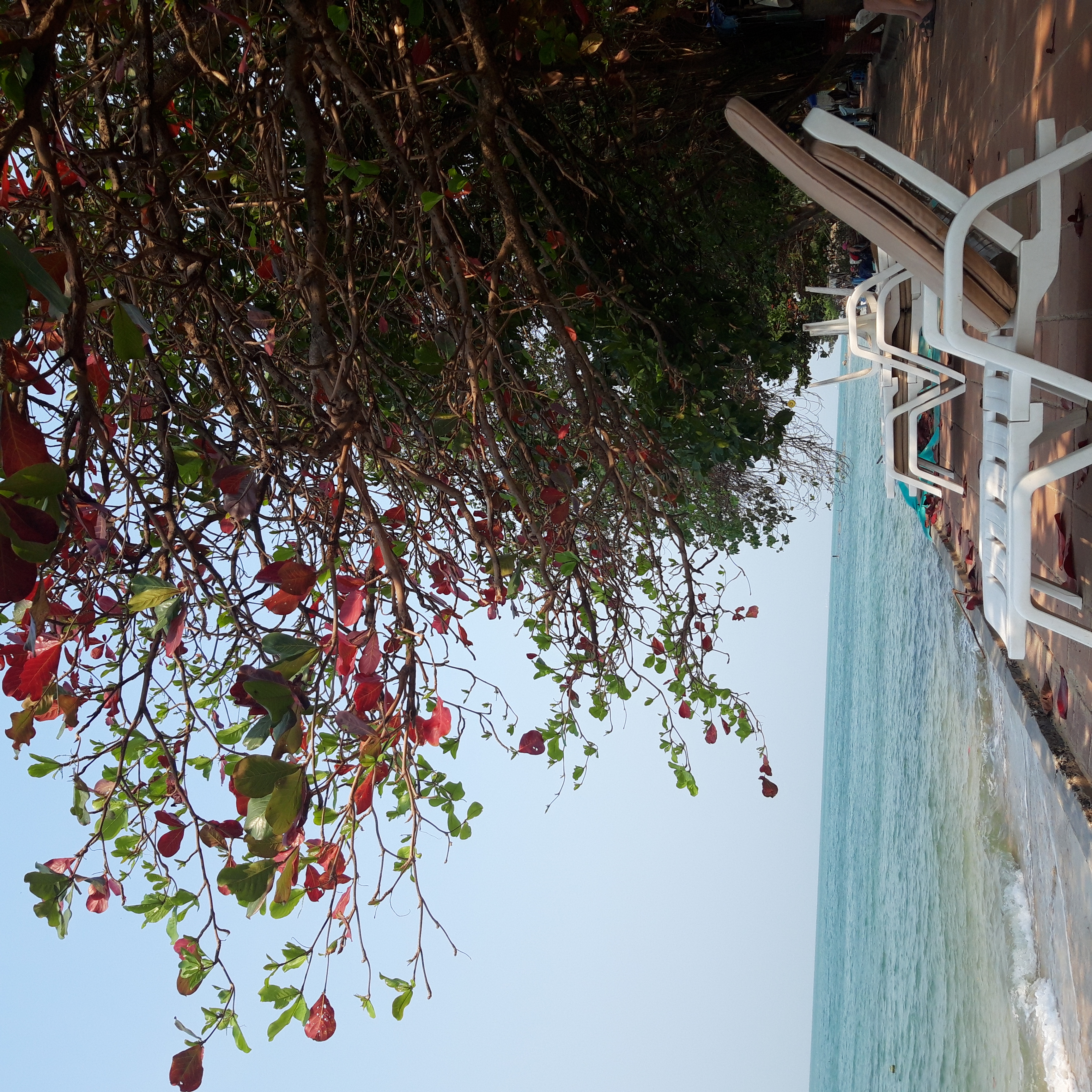 Фото Bella Villa Metro