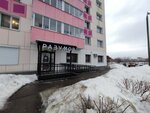 Разумов (Кронштадтская ул., 53), школа искусств в Перми