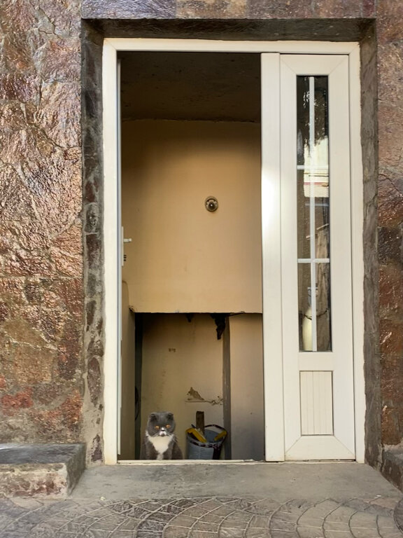 Фото Art House Hotel