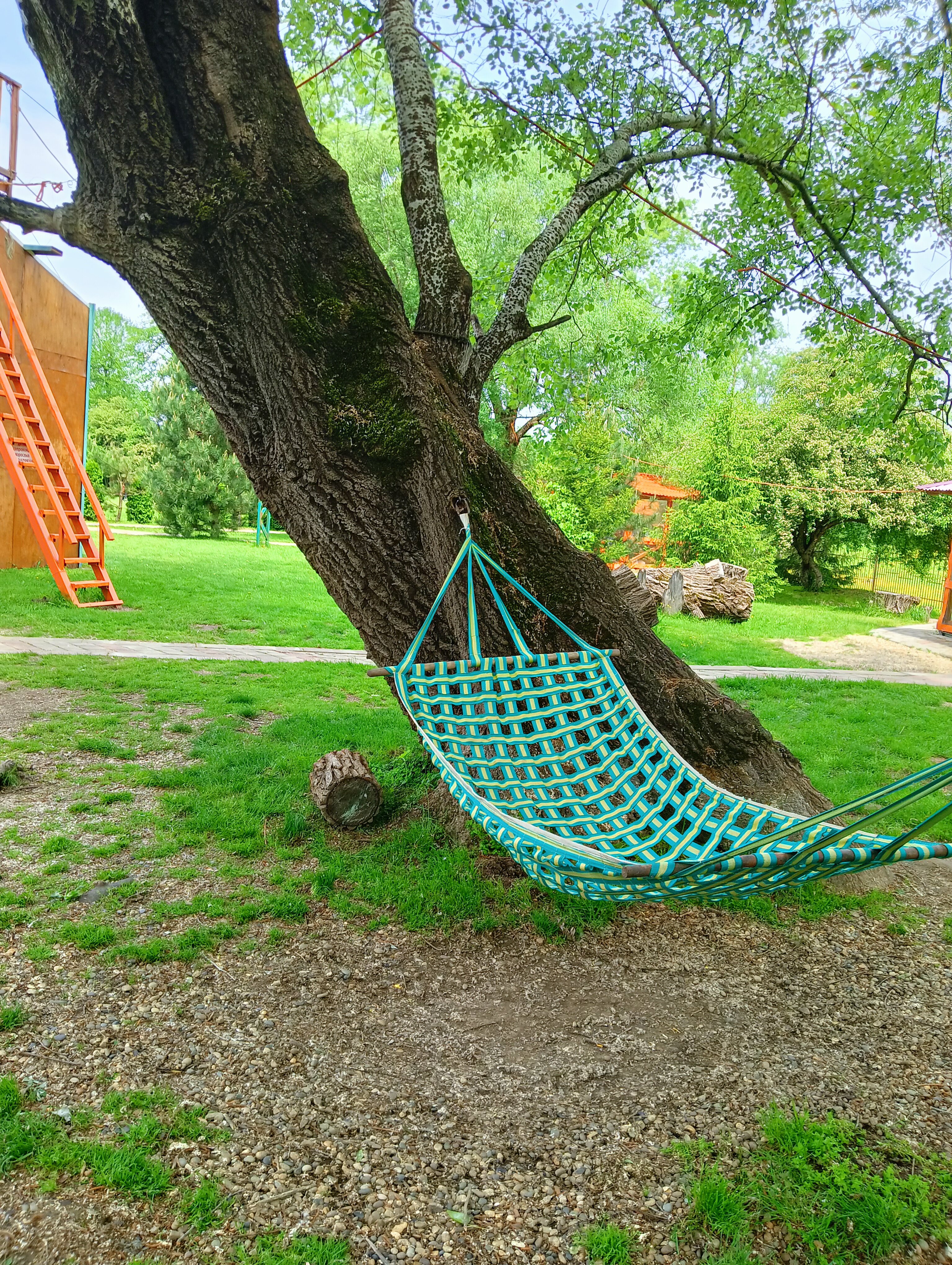 Фото Светлячок