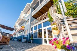 Фото Барракуда